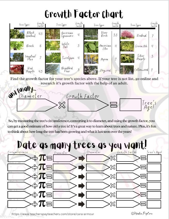 Numbers in Nature Badge Bundle for Juniors | Badgework | Scouts | Math ...