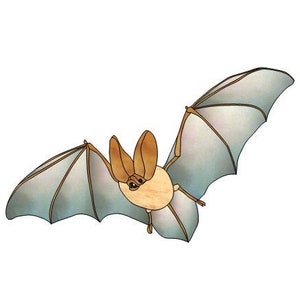 Stained Glass Bat Pattern