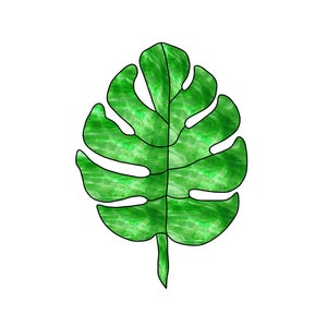 Padrões de vitrais de folhas Monstera