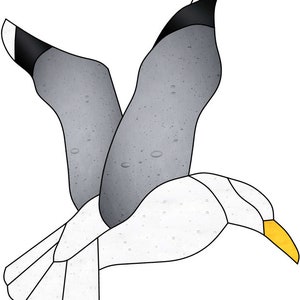 Seagull Stained Glass Pattern