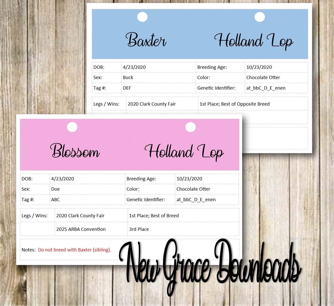 Rabbit Cage Tags Template Writable Rabbit Cage Printable - Etsy