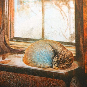 May include: A brown and tan tabby cat curled into a tight ball while sleeping on a window sill. The cat is positioned in front of a window with light streaming through, framed by dark orange curtains that cast deep shadows across the scene.
