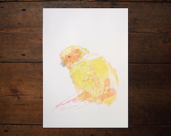 Kakapo, A3 Risograph Print, Illustration de la nature, Folklore des oiseaux
