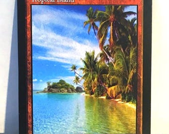 専用出品 Tropical デュアルランド 専用出品 Tropical デュアルランド