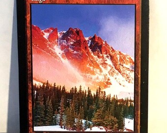 MTG Taiga 美品　鑑定品　デュアルランド il_340x270.7812147762_3bhf.jpg