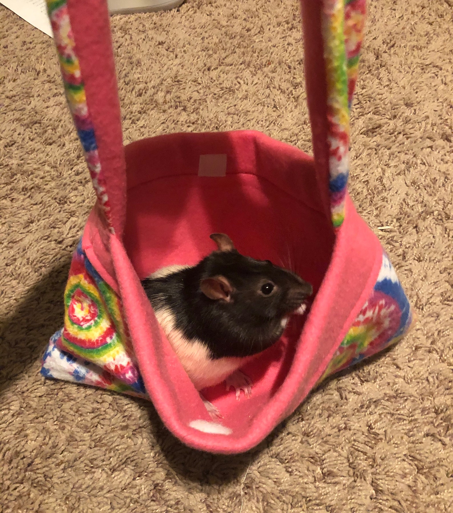 Small Animal Carrier Etsy