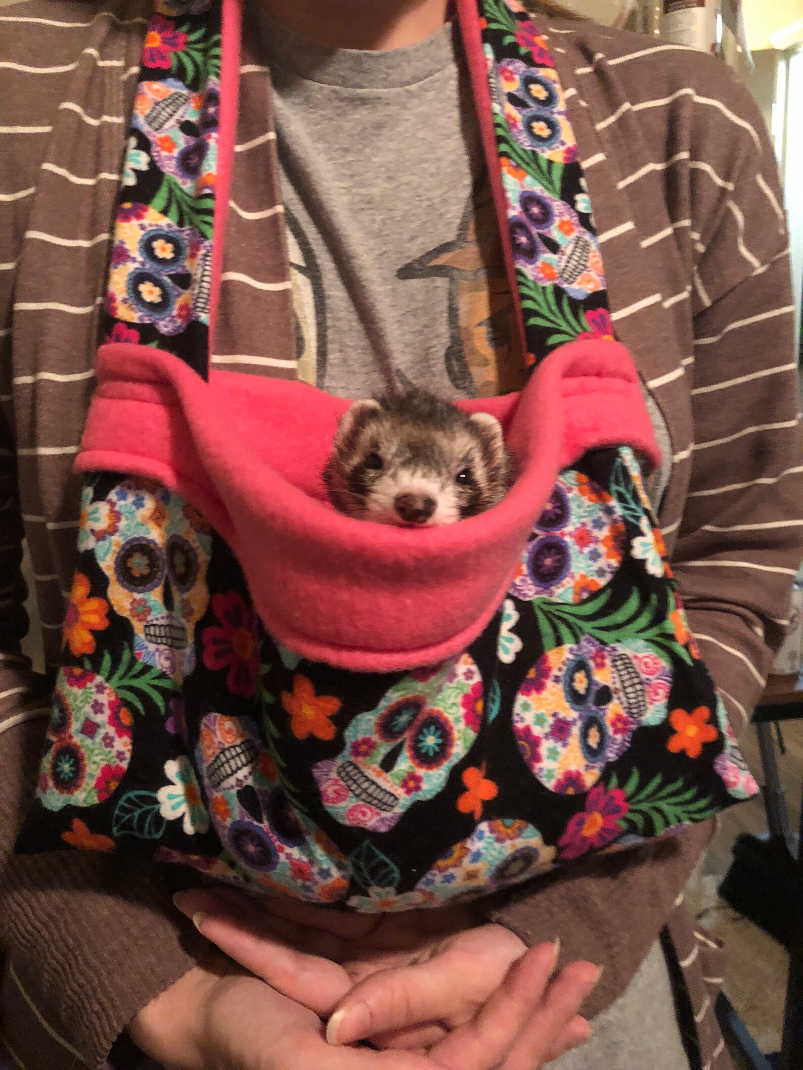 Small Animal Carrier Etsy