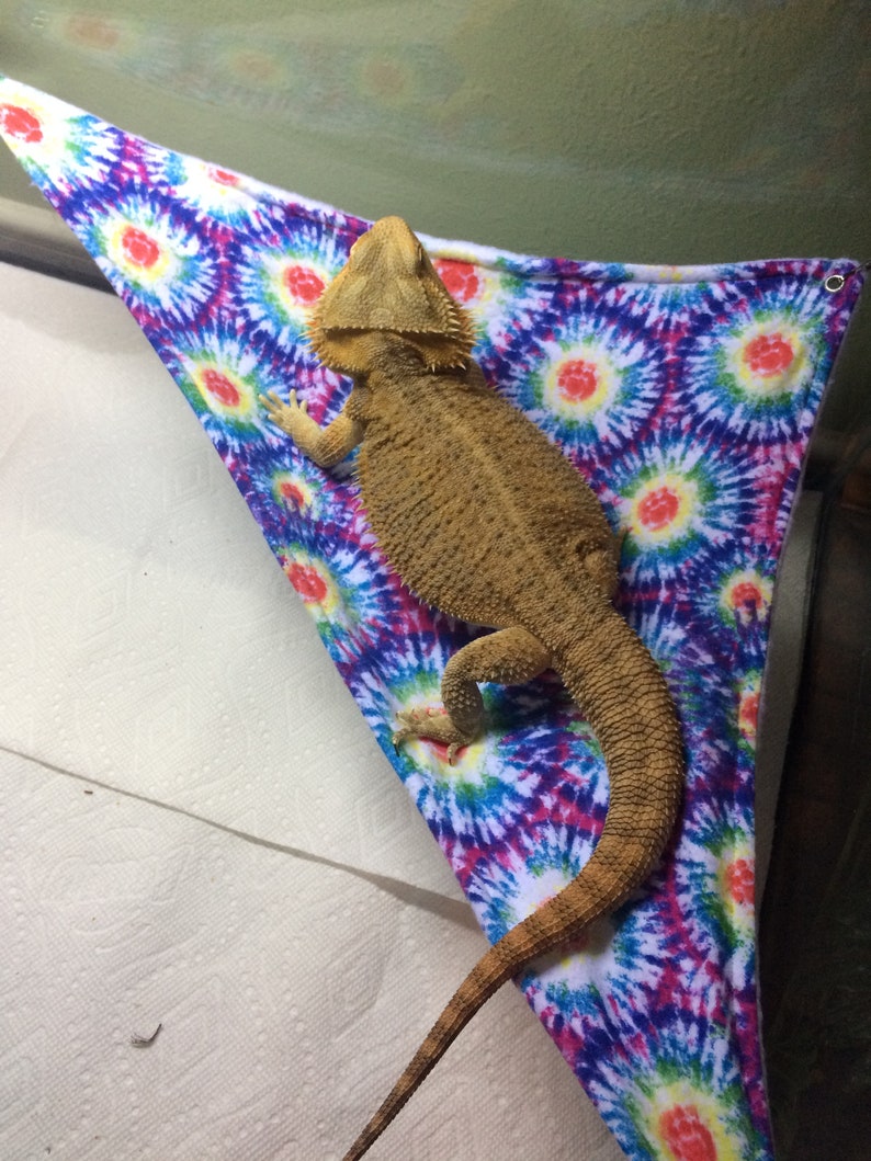 Bearded Dragon Hammock Etsy