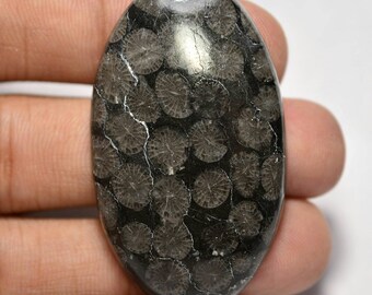 43x27x6 MM Oval Cabochon 55 CTS Beautiful Scenic Cabochons Black Fossil Coral #A-516