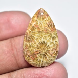Cabujón de coral fósil... Cabujón en forma de pera... 29x18x5 mm... 17 quilates... A#P239