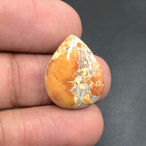 Maligano Jasper Cabochon...Peer Cabochon...20x16x5 mm...11 Cts...A#L8262