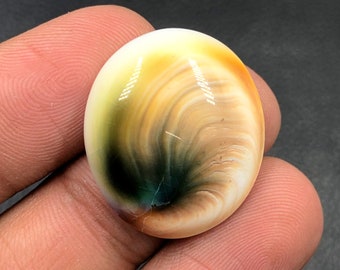 Operculum Shell Cabochon...Oval Cabochon...25x21x7 mm...26 Cts...A#M6546