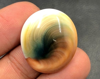 Operculum Shell Cabochon...Oval Cabochon...25x22x7 mm...28 Cts...A#M6551