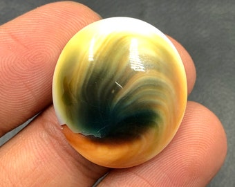 Operculum Shell Cabochon...Oval Cabochon...25x23x7 mm...30 Cts...A#M6543