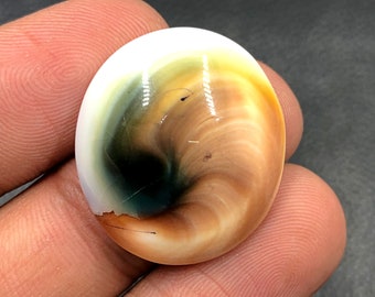 Operculum Shell Cabochon...Oval Cabochon...25x22x7 mm...29 Cts...A#M6545