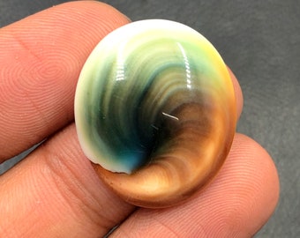 Operculum Shell Cabochon...Oval Cabochon...27x23x8 mm...35 Cts...A#M6541