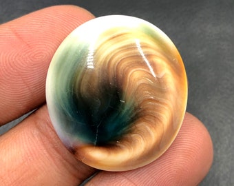 Operculum Shell Cabochon...Oval Cabochon...27x25x7 mm...36 Cts...A#M6538