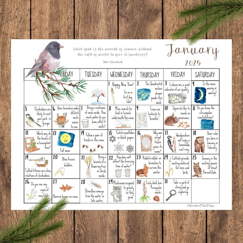 2025 Wonder-filled Days Nature Calendar (digital) - Etsy