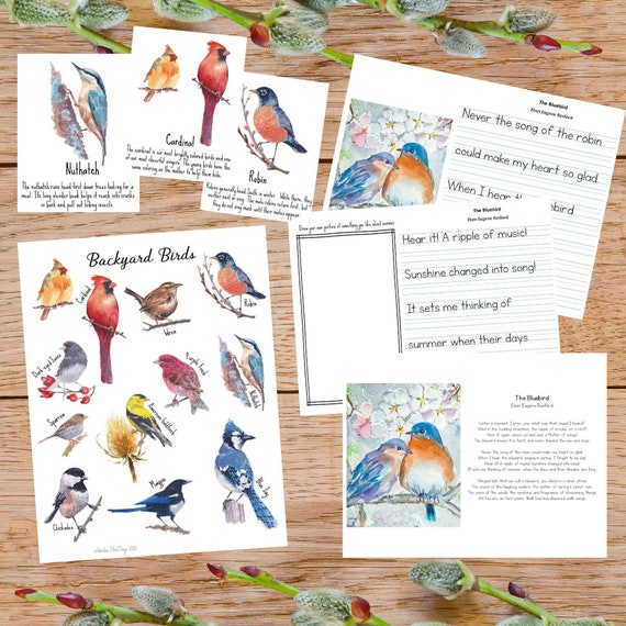 Watercolor Backyard Birds Poster & Flashcards