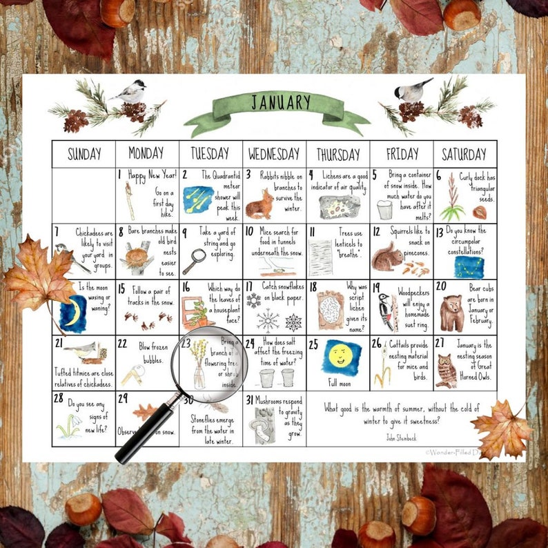 2024 Wonder-filled Days Nature Calendar digital - Etsy