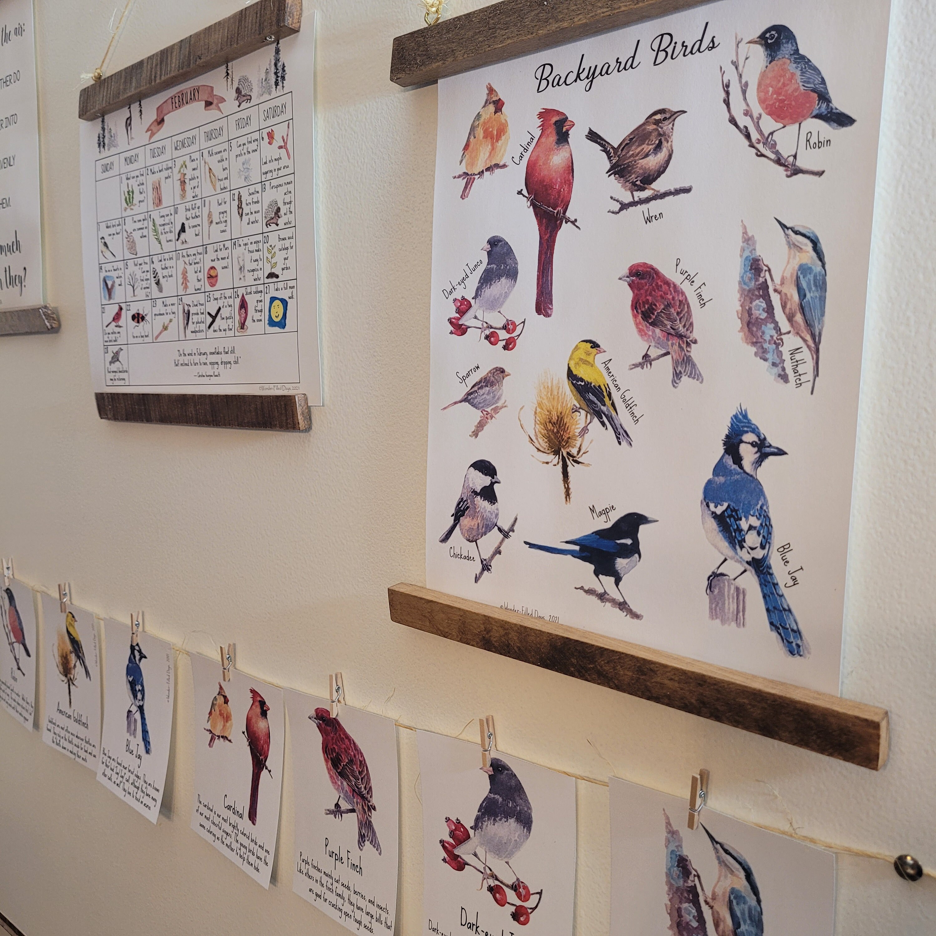 Watercolor Backyard Birds Poster & Flashcards (hard Copy) - Etsy