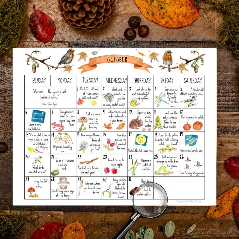 2024 Wonder-filled Days Nature Calendar digital - Etsy