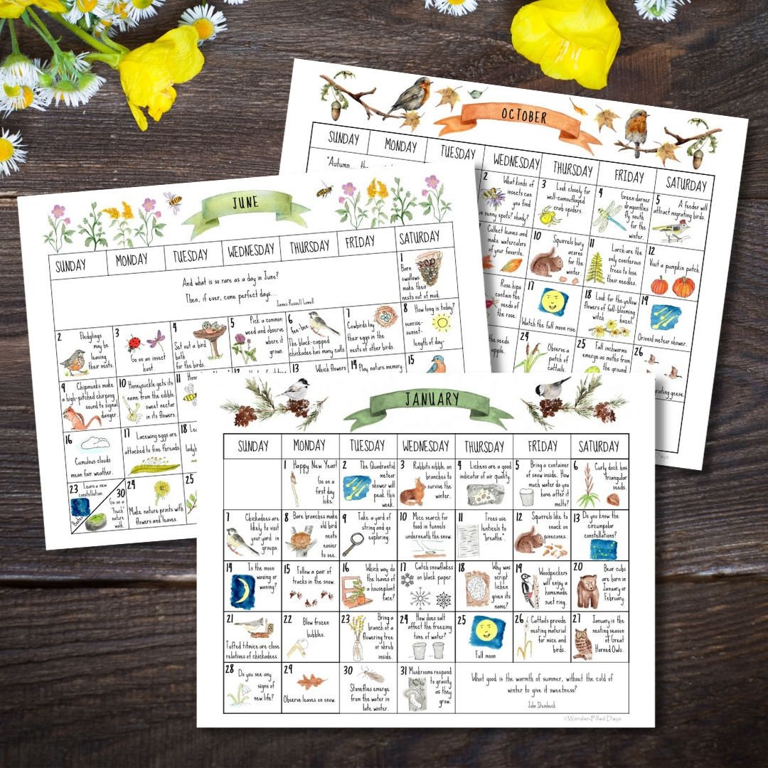 2024 Wonder-filled Days Nature Calendar hard Copy - Etsy 2024-wonder-filled-days-nature-calendar-hard-copy-etsy
