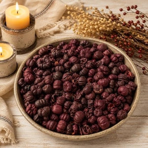 May include: A round, shallow ceramic bowl filled with a large quantity of dried, dark burgundy-colored botanical seed pods. The pods have a distinct, segmented, pumpkin-like shape with a textured, matte surface, clustered together in the bowl.