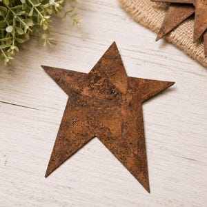 May include: A five-pointed star ornament featuring a textured, dark brown, rusted metal finish. The surface displays a weathered, oxidized appearance with mottled shades of copper and deep brown throughout the flat, geometric star shape.