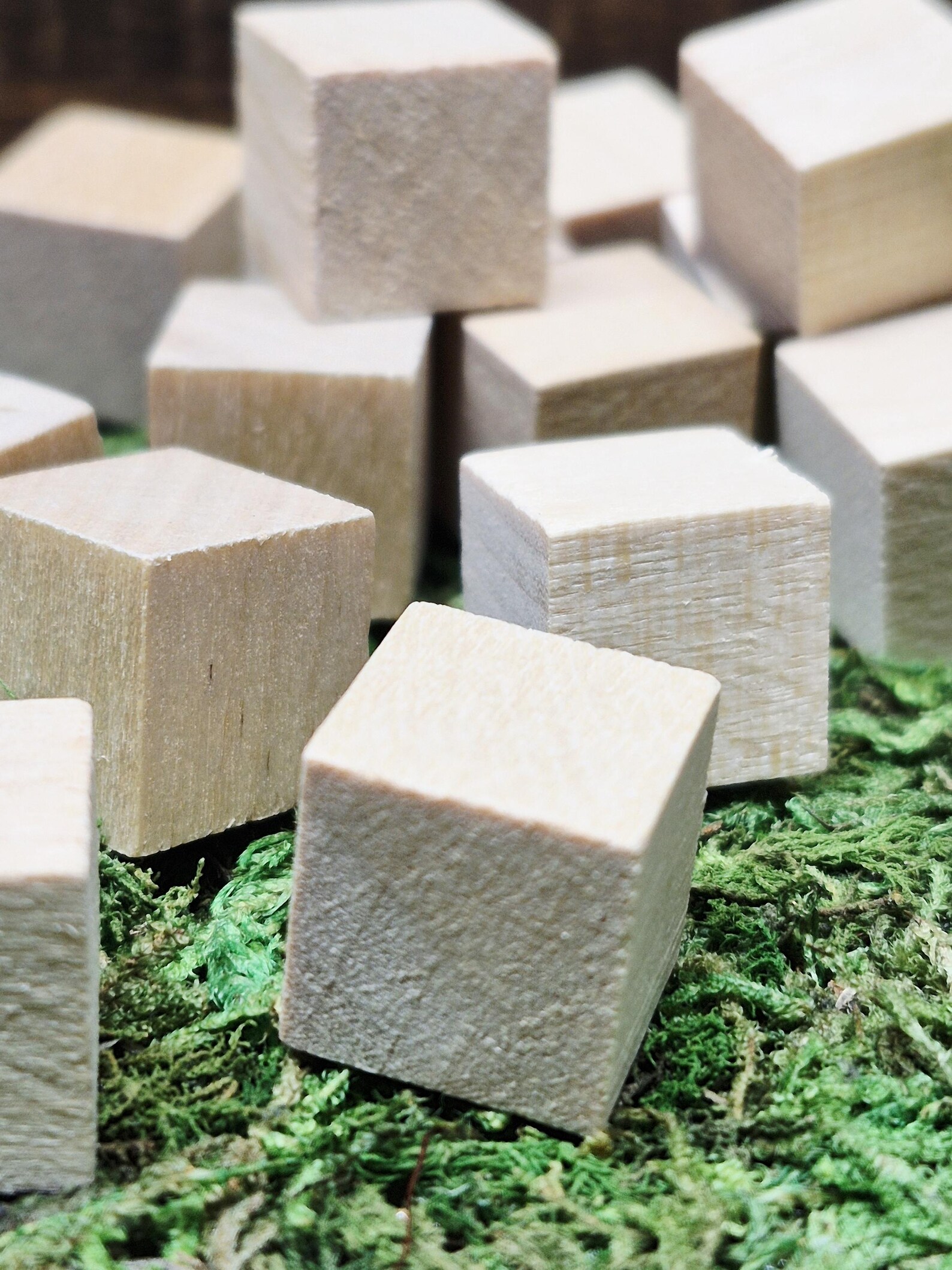 Square Blocks 1/2
