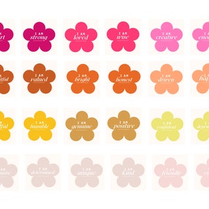 AFFIRMATIONEN — In Rosa