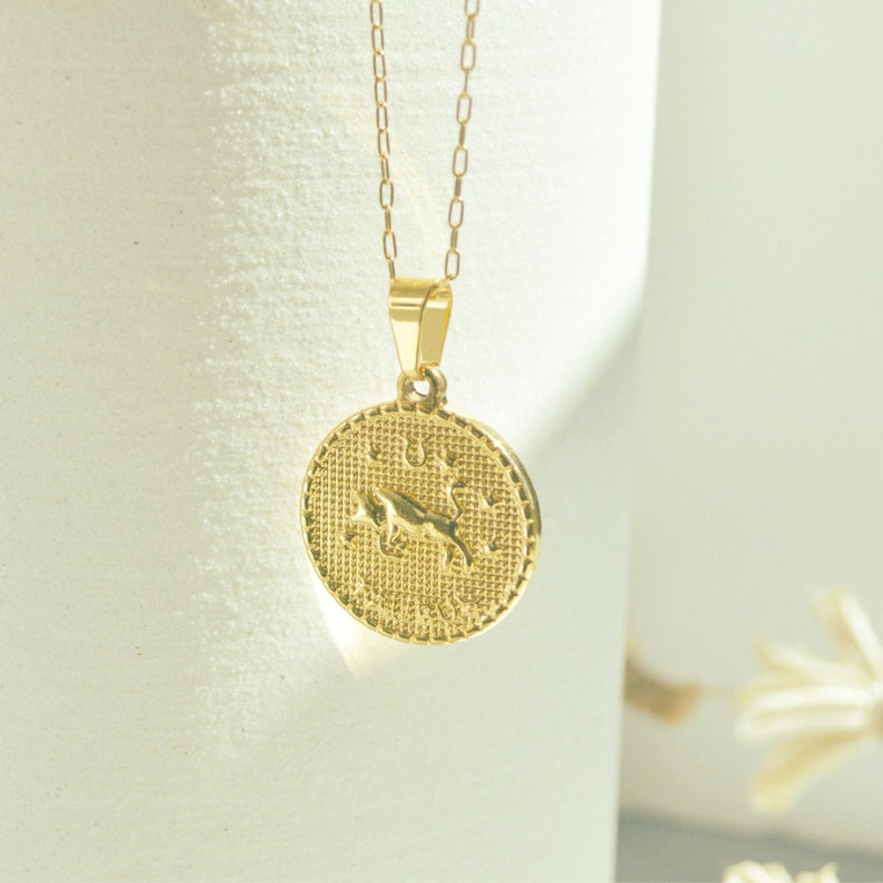 Zodiac Necklace, Zodiac Coin Necklace, Medallion Necklace, Zodiac Sign, Virgo Necklace, Leo Necklace, Scorpio Sign, Tarnish Free image 2