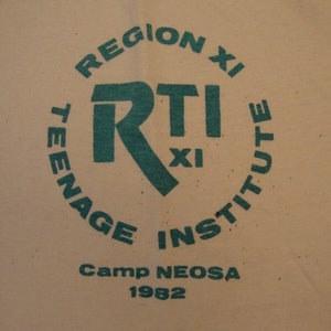 Vintage Ched Region Teenage Institute Camp Neosa 1982 Soft Off White T Shirt S