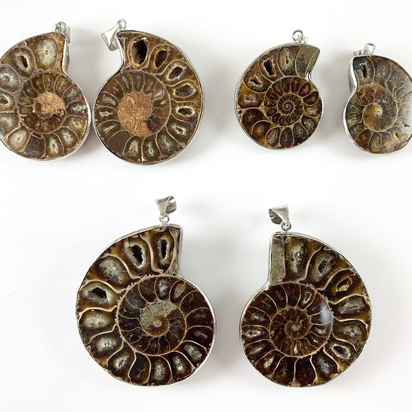 1 PC Beautiful Ancient Natural Ammonite Fossil Single Pendant with Silver Trim