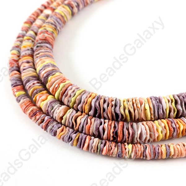 Rainbow Pectin Shell Wavy Heishi Beads Around 15-16"
