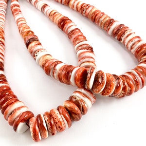 Spiny Oyster Natural Graduated Rondelle Beads - Natural Red Color. Non Treated 15-16&quot;