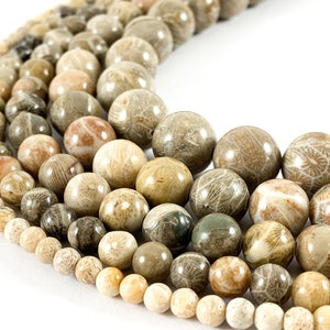 Fossil Coral Round Smooth Shiny Natural Gemstone Beads 15&quot;-16&quot;