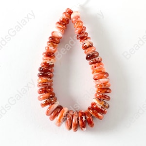 Spiny Oyster Natural Graduated Rondelle Beads - Natural Red Color. Non Treated 4-5&quot;