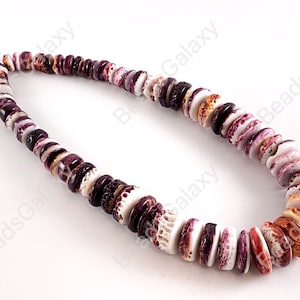 Spiny Oyster Natural Graduated Rondelle Beads - Natural Purple Color. Non Treated. 15-16&quot;