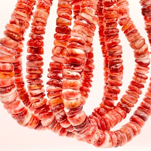 Spiny Oyster Natural Graduated Rondelle Beads - Natural Red Color. Non Treated 15-16&quot;