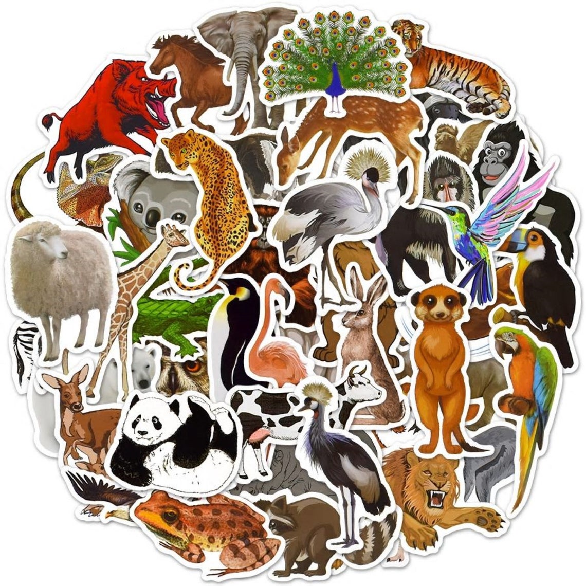 50 PCS Zoo Animal Stickers Kids Toy Stickers Pack Waterproof Etsy
