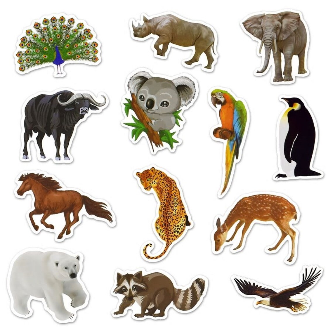 50 PCS Zoo Animal Stickers Kids Toy Stickers Pack Waterproof Etsy