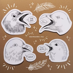 Rude Swearing Birds, Krähe, Möwe, Taube, Rotkehlchen, Lustig, Meme | Vinyl wasserfest Aufkleber