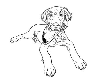 Full Body Pet Sketches from Photos, Digital Files Only