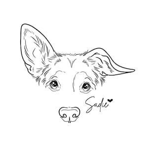 Dog line drawing custom, ear outline, pet portrait ink, DIGITAL FILE ONLY, Tattoo Commission, Realistic face sketch from photo, Peekaboo