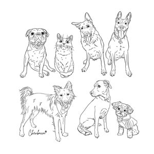 Collage of digital pet line drawings in black on white, showcasing full-body sketches from photos.