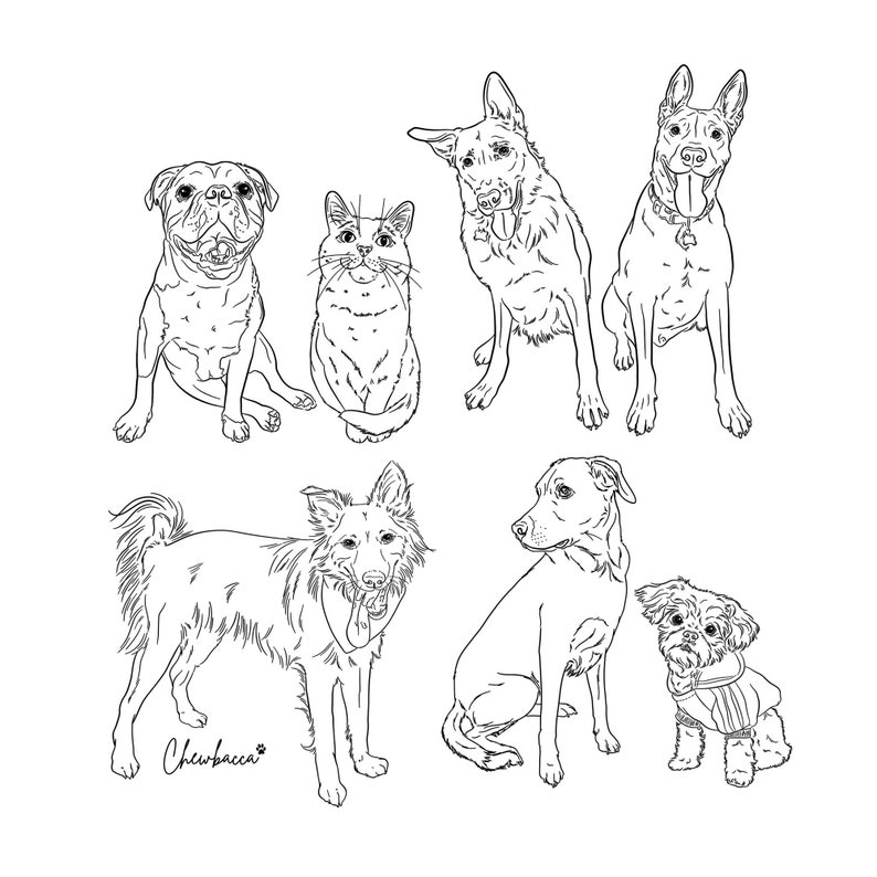 Collage of digital pet line drawings in black on white, showcasing full-body sketches from photos.