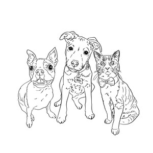 Line drawing of two dogs and one cat standing in different angles, full-body view. Simple black lines over white background.