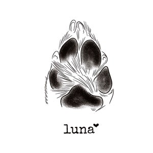 Pet paw from photo, Custom dog sketch, Line art pet portrait, Tattoo commission, Gift for pet mom, Remembrance gifts, DIGITAL FILE ONLY