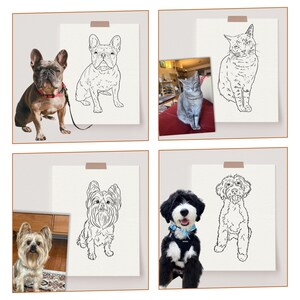 Comparison of the original photo with four pets and their individual full-body line art portraits.